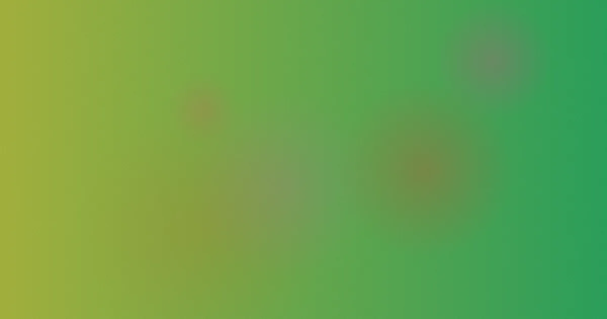 吃饱了测评：四步避坑实录